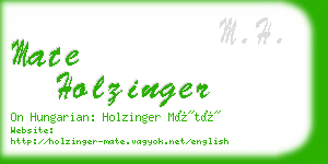 mate holzinger business card